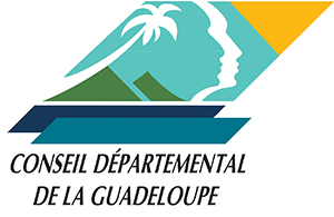 Conseil Départemental