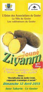 Jouné Ziyanm