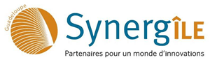 Synergile