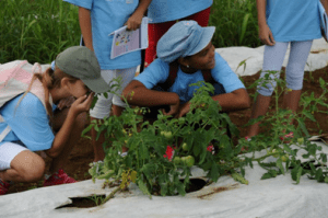 Atelier Goût des aliments