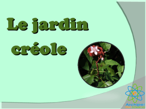 Diaporama Jardin créole