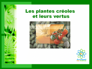 Diaporama Les plantes créoles et leurs vertus