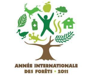 Année Internationale des Forêts