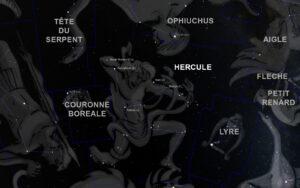 Hercule