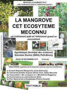 Table ronde mangrove