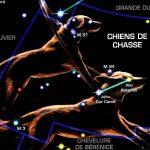 Chiens de Chasse