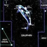 Dauphin