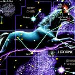Licorne