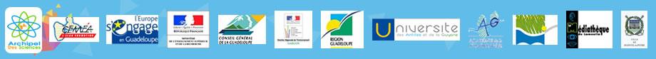 Partenaires FDS 2012