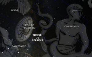 Queue du serpent