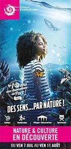 Programme Nature et Culture en Découverte 2017