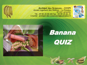 Quizz Banane