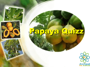 Quizz Papaye