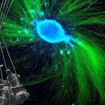 Science/Fiction 20