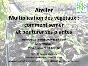 Atelier multiplication plantes 19/02/2020