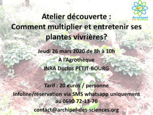 Atelier ADS 26 mars 2020