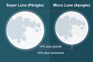 Super Lune & Micro Lune