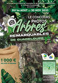 Concours photos Arbres remarquables de Guadeloupe