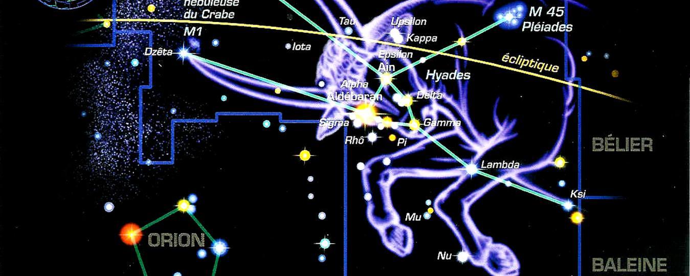 Observation du ciel nocturne
