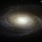 M81