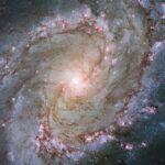 M83