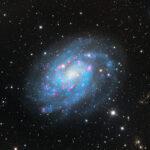 NGC300