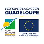 Union Européenne