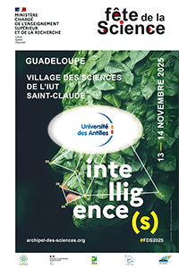 Affiche village des sciences de l'IUT
