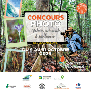 Concours photos environnement